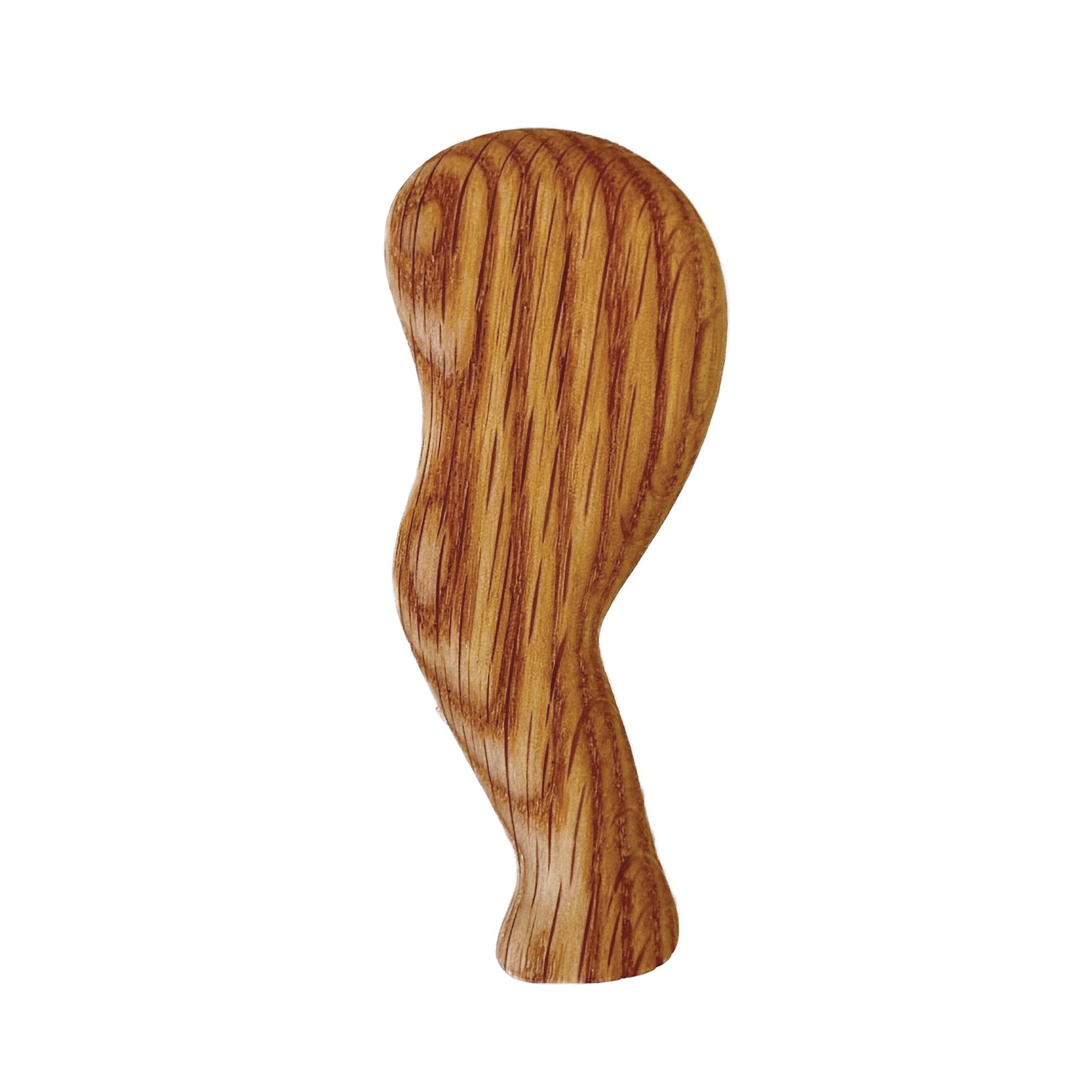 Apatosaurus Left Rear Leg