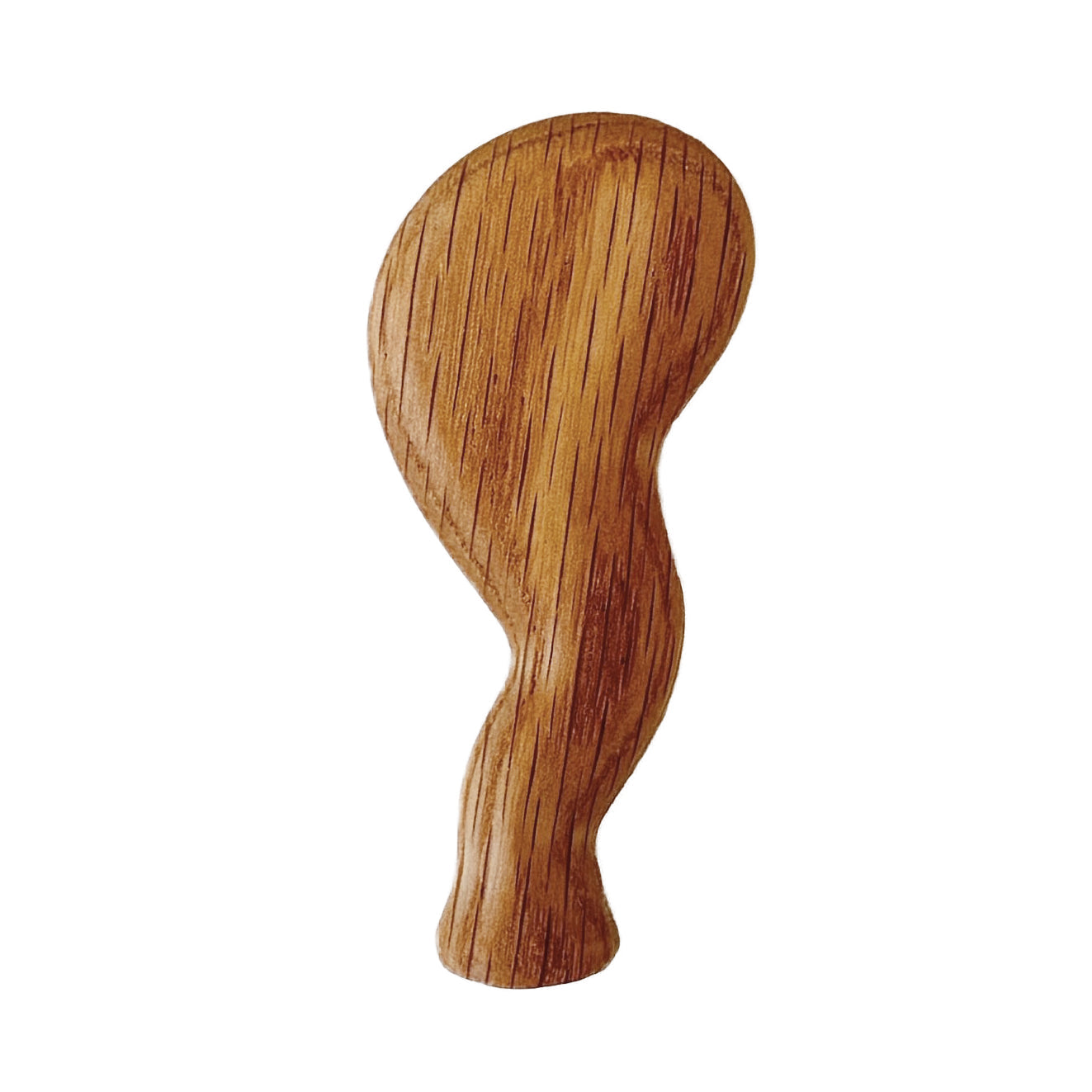 Apatosaurus Left Front Leg