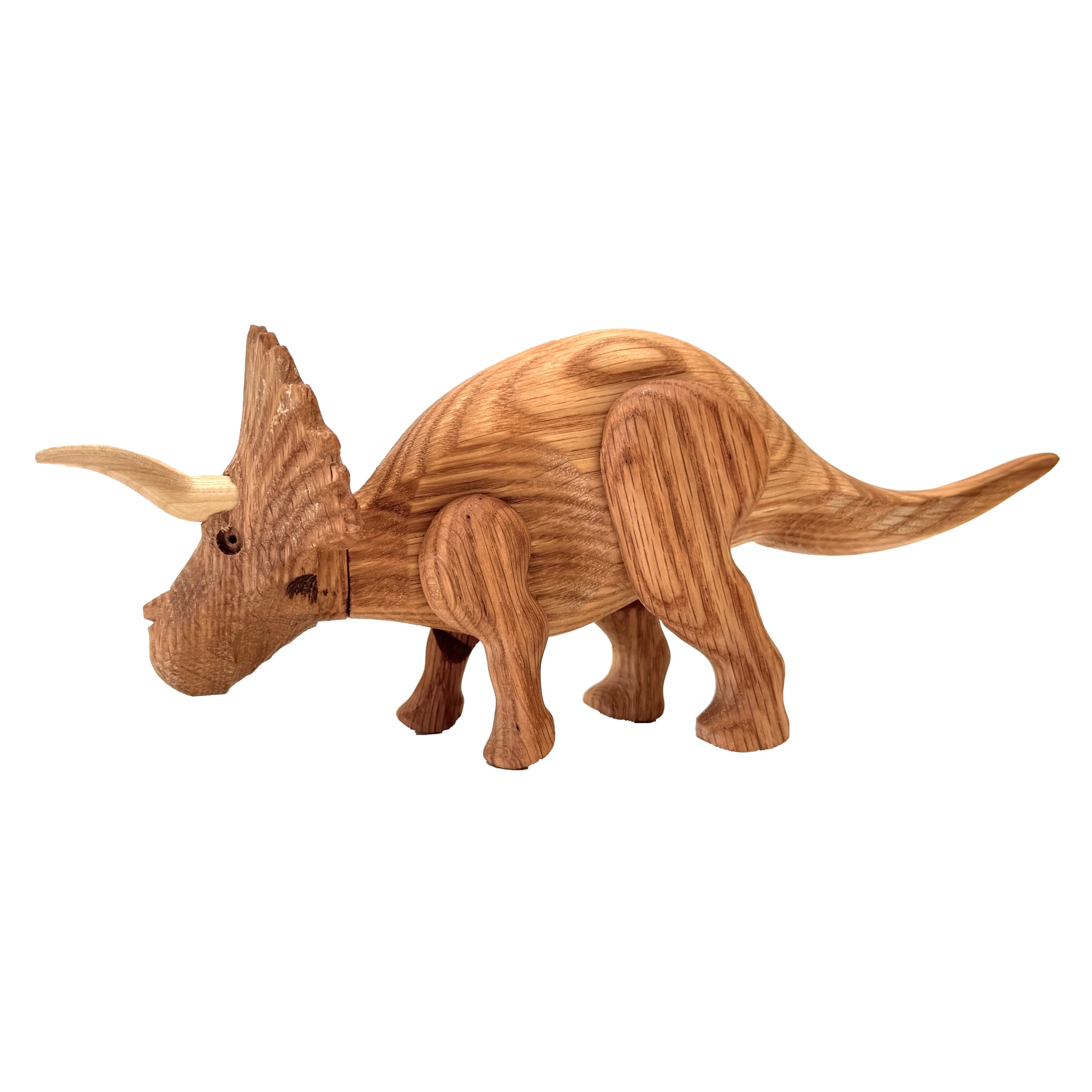 Triceratops - Image 2