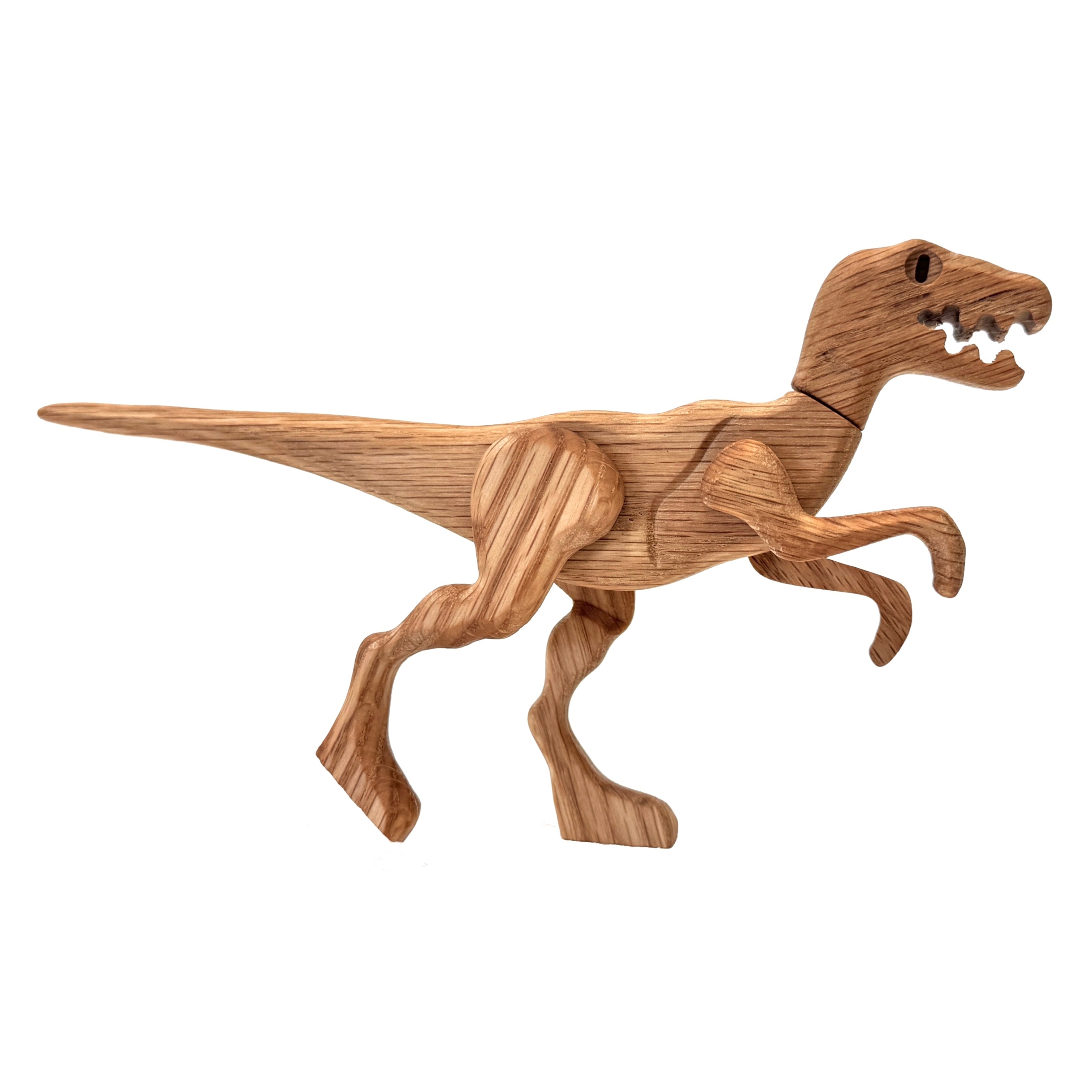 Velociraptor - Image 2